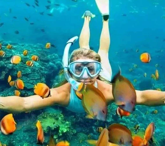 Mnemba Island Snorkeling